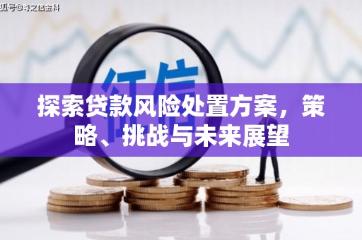碑林探索贷款风险处置方案，策略、挑战与未来展望
