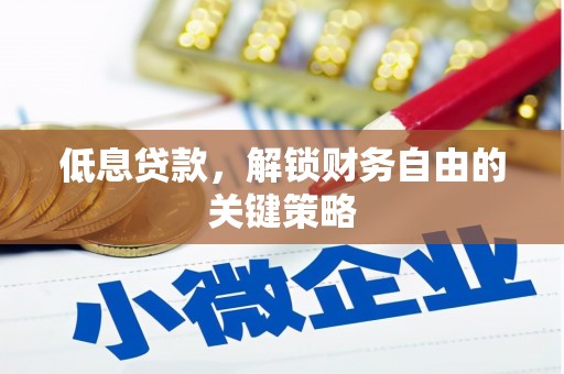 新乡低息贷款，解锁财务自由的关键策略