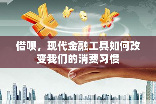 亭湖借呗，现代金融工具如何改变我们的消费习惯