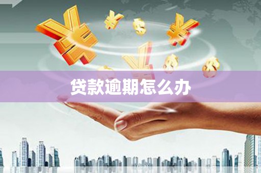 恩平贷款逾期怎么办