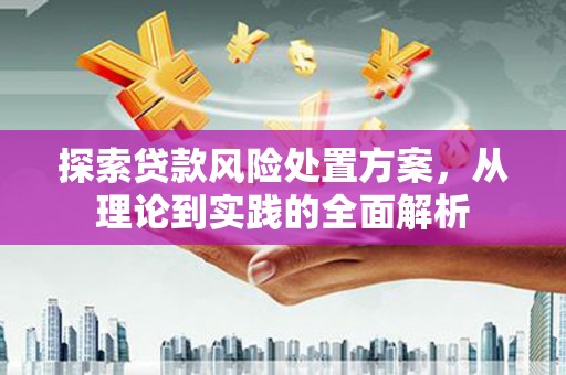 金昌探索贷款风险处置方案，从理论到实践的全面解析