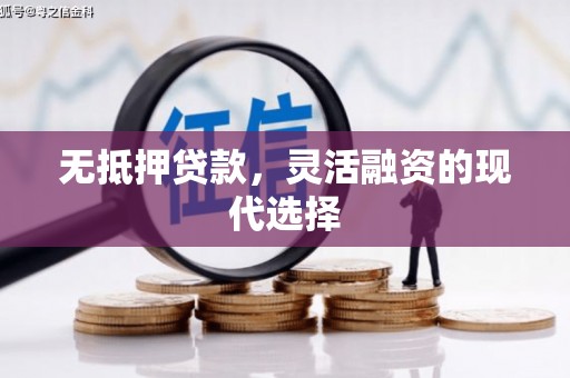 陆丰无抵押贷款，灵活融资的现代选择