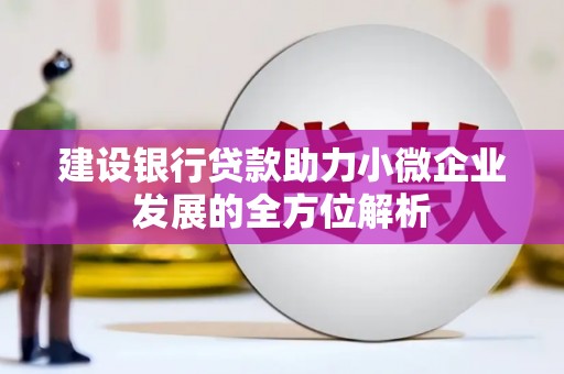 永登建设银行贷款助力小微企业发展的全方位解析