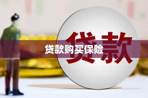 四川贷款购买保险