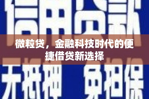 原州微粒贷，金融科技时代的便捷借贷新选择