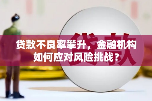 汉台贷款不良率攀升，金融机构如何应对风险挑战？