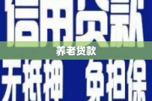 东宝养老贷款