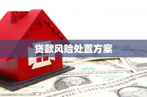 洋山贷款风险处置方案
