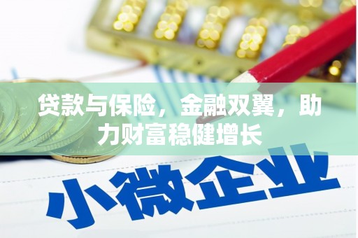 黑水贷款与保险，金融双翼，助力财富稳健增长