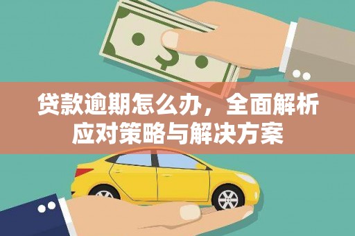 青神贷款逾期怎么办，全面解析应对策略与解决方案