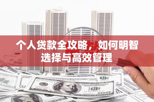 错那个人贷款全攻略，如何明智选择与高效管理