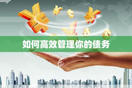 苑里如何高效管理你的债务