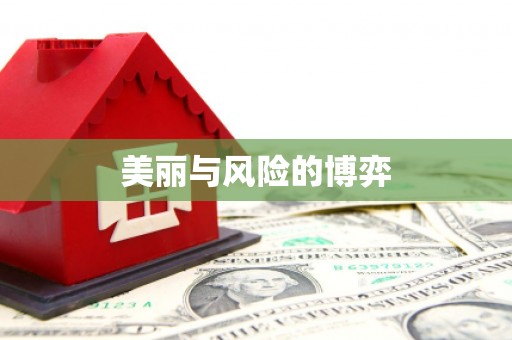 宁明美丽与风险的博弈