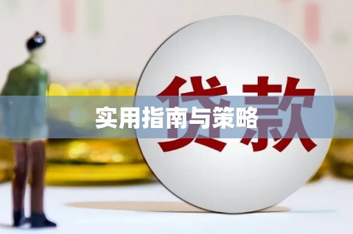 泸州实用指南与策略