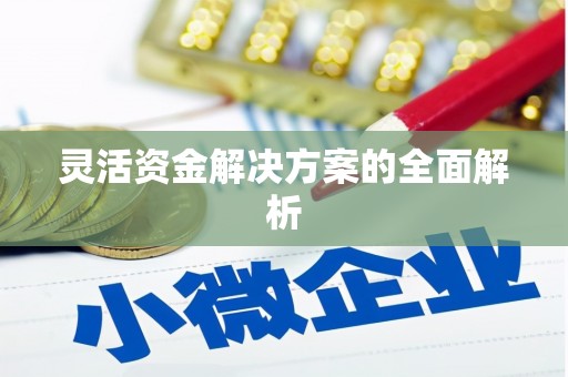 阆中灵活资金解决方案的全面解析