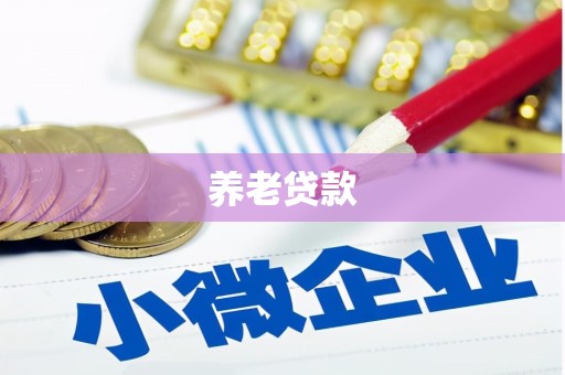 南平养老贷款
